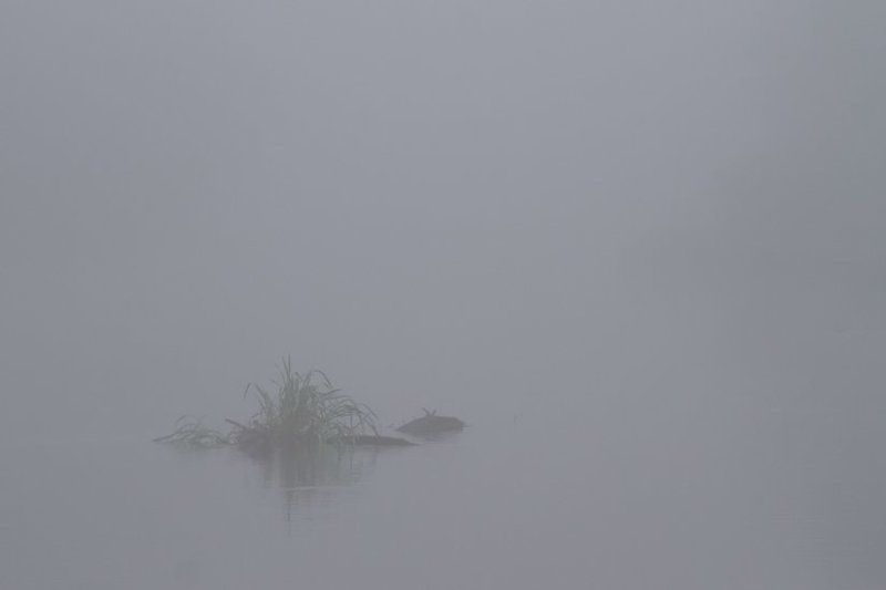 Раннее утро на Протве фото превью
