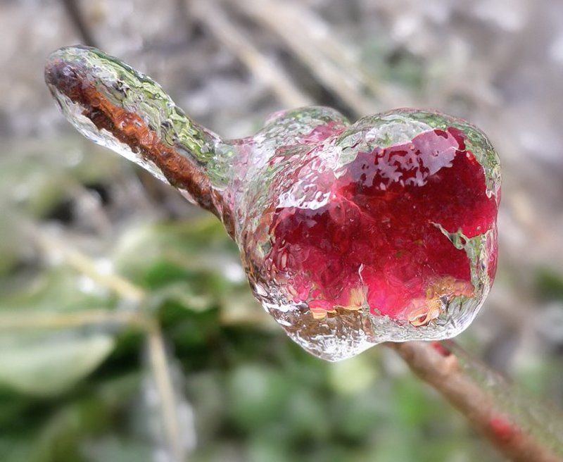Ледяная серия фото превью