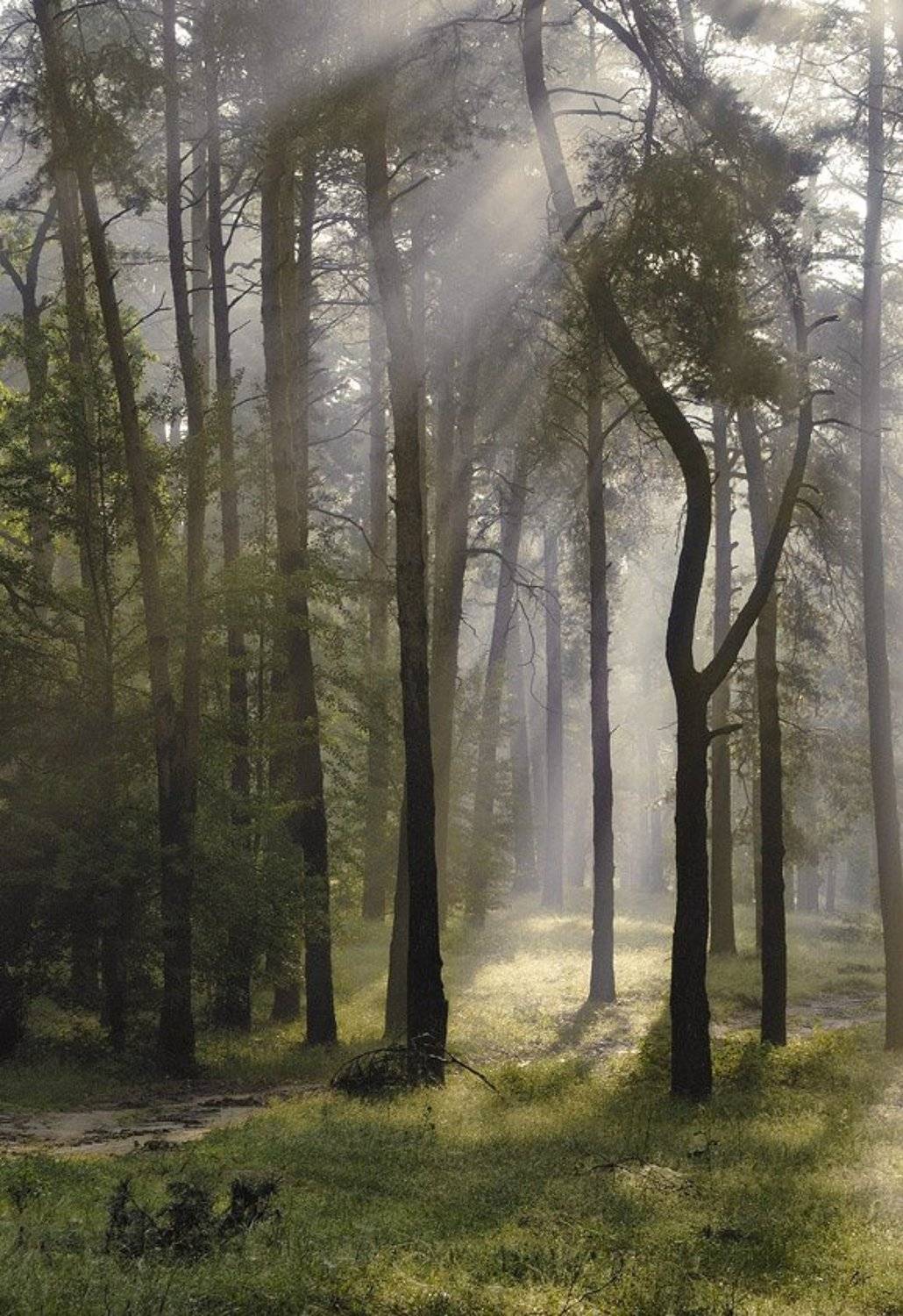 , Александр