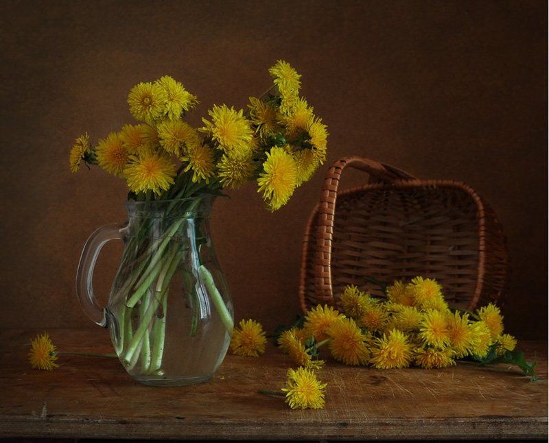 одуванчики, весна солнышки фото превью