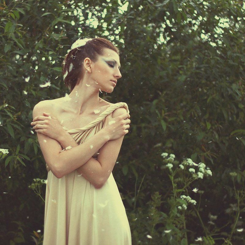 Bird фото превью