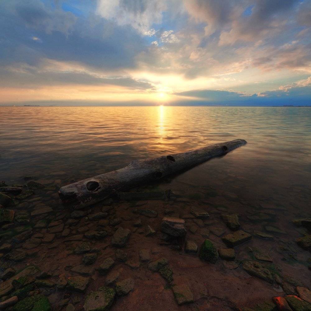 , Евгений Кондрашков