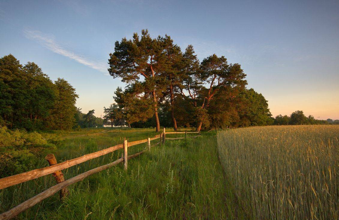, Володимир Карчевський