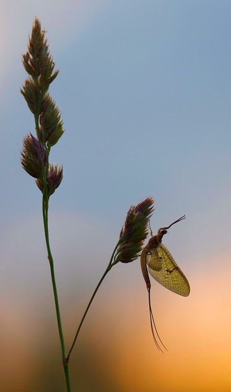 утренняя зарядка фото превью