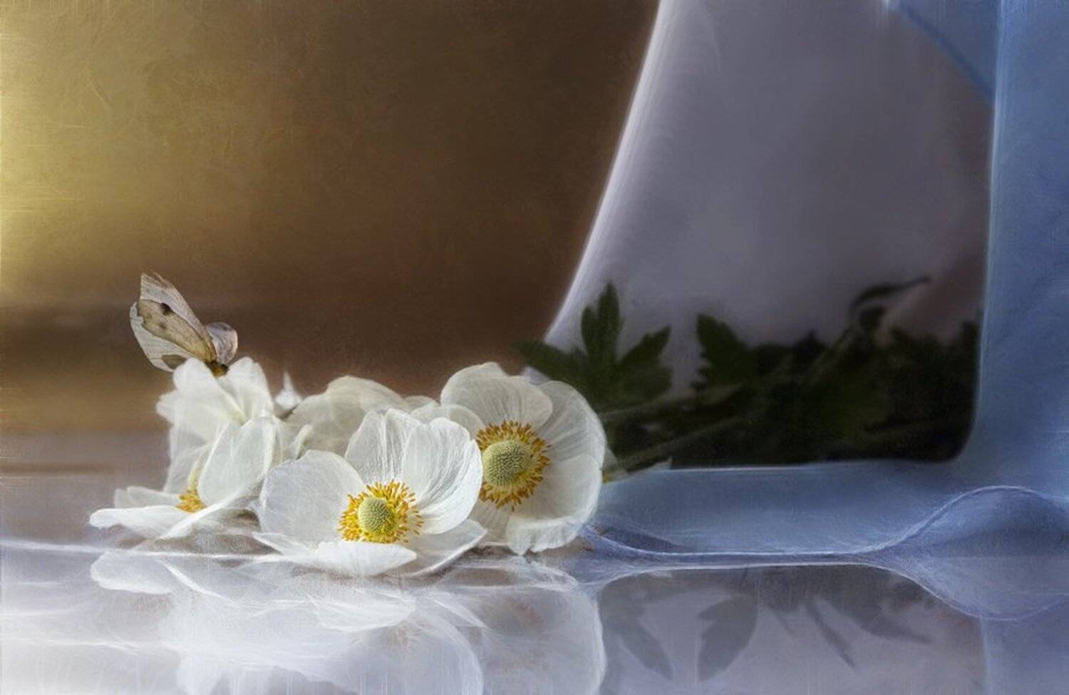 натюрморт, цветы, анемоны, бабочка, Наталья Кузнецова (Nateletro)