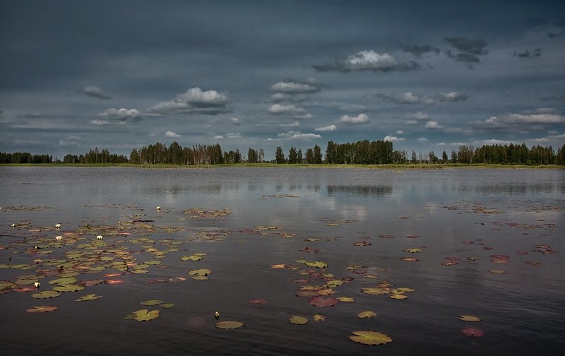 плыли по небе барашки... фото превью