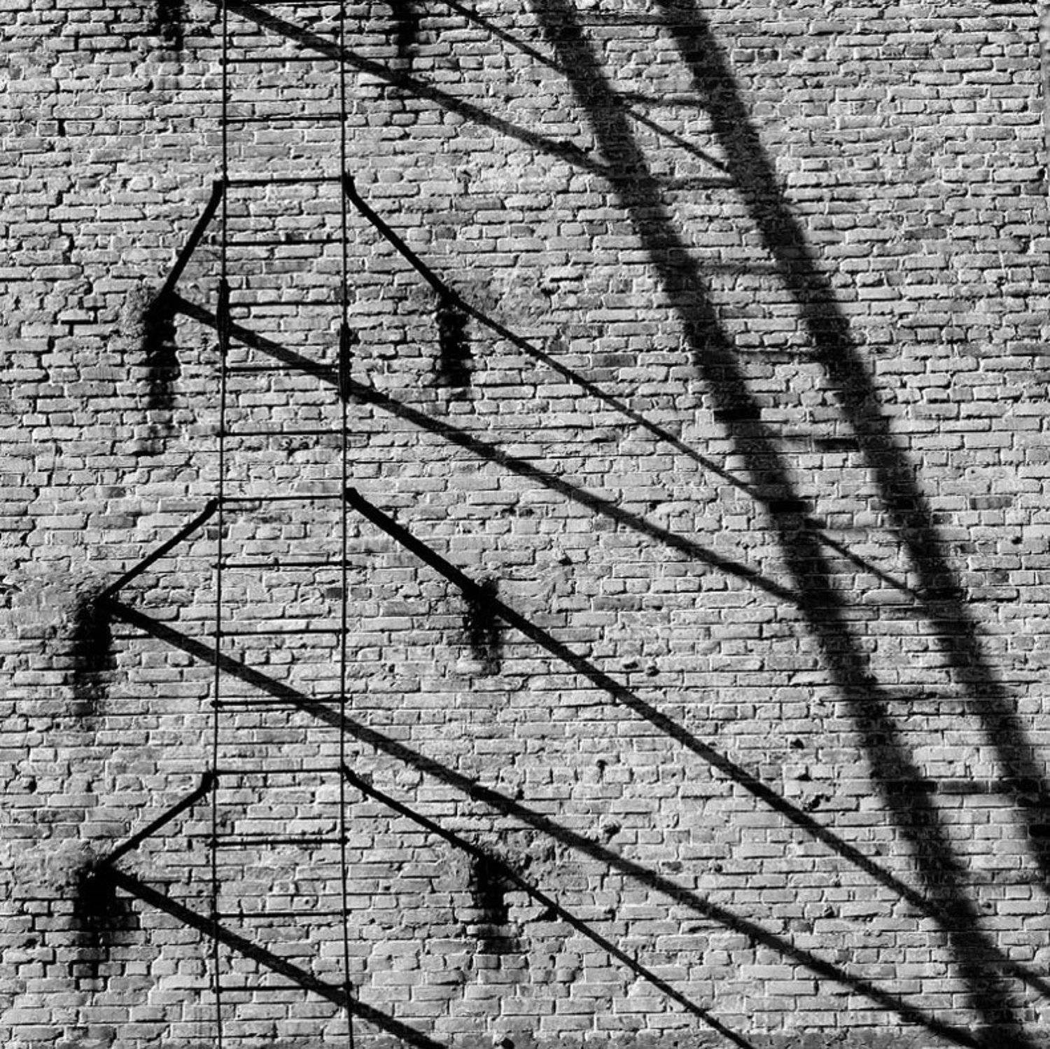 , Александр