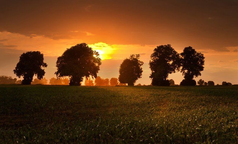 * фото превью