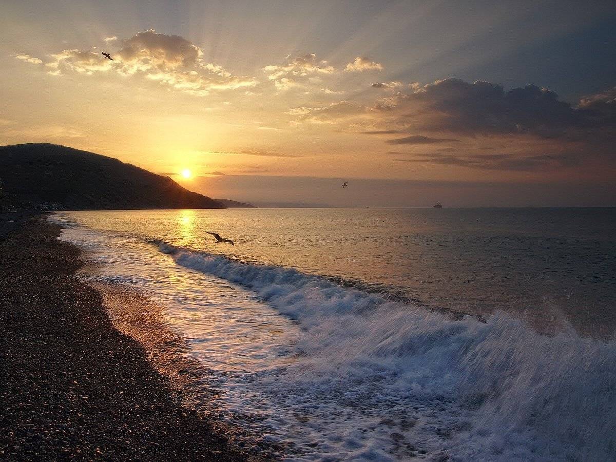 , Марина Брыдня