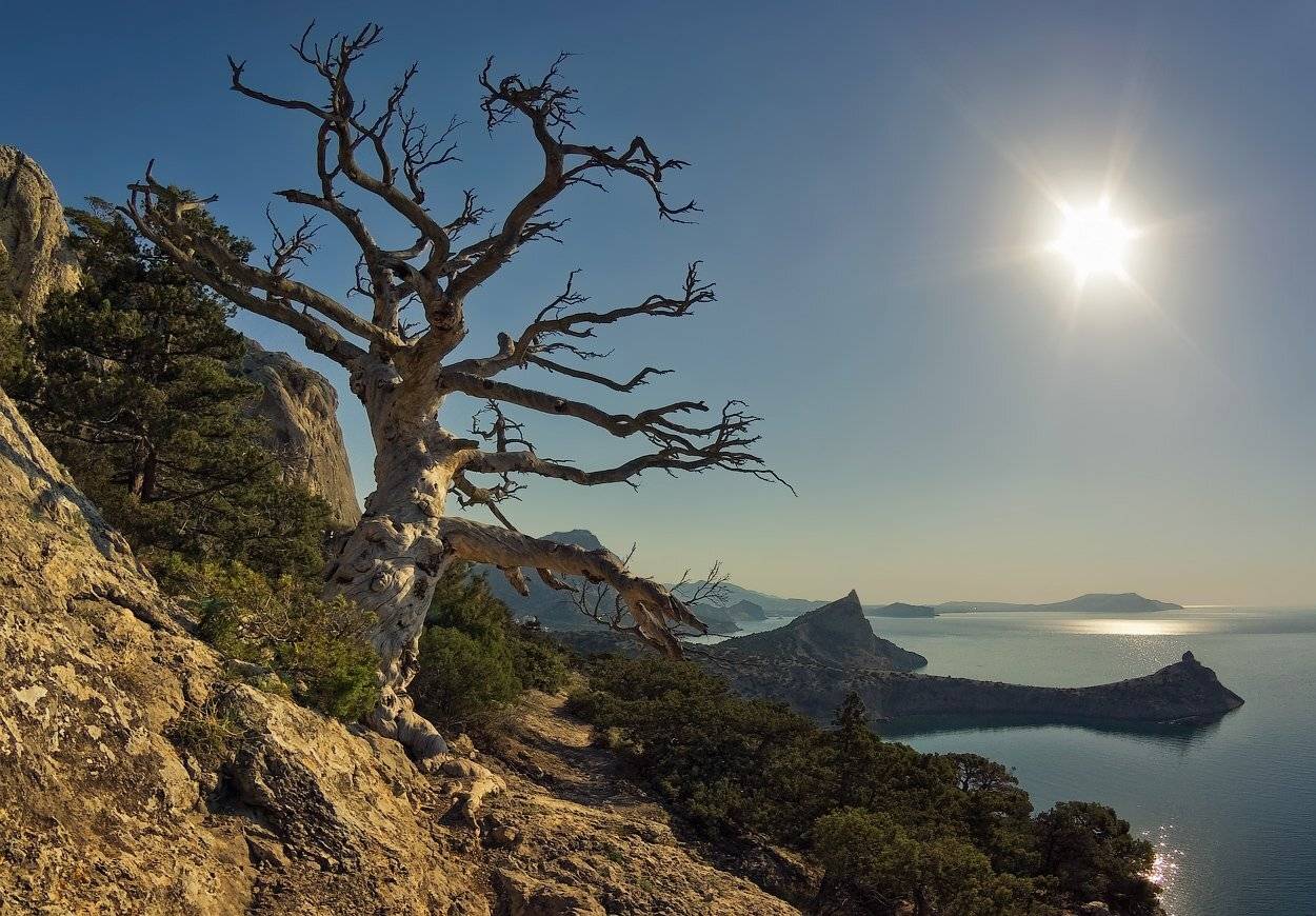 , Игорь Мелекесцев