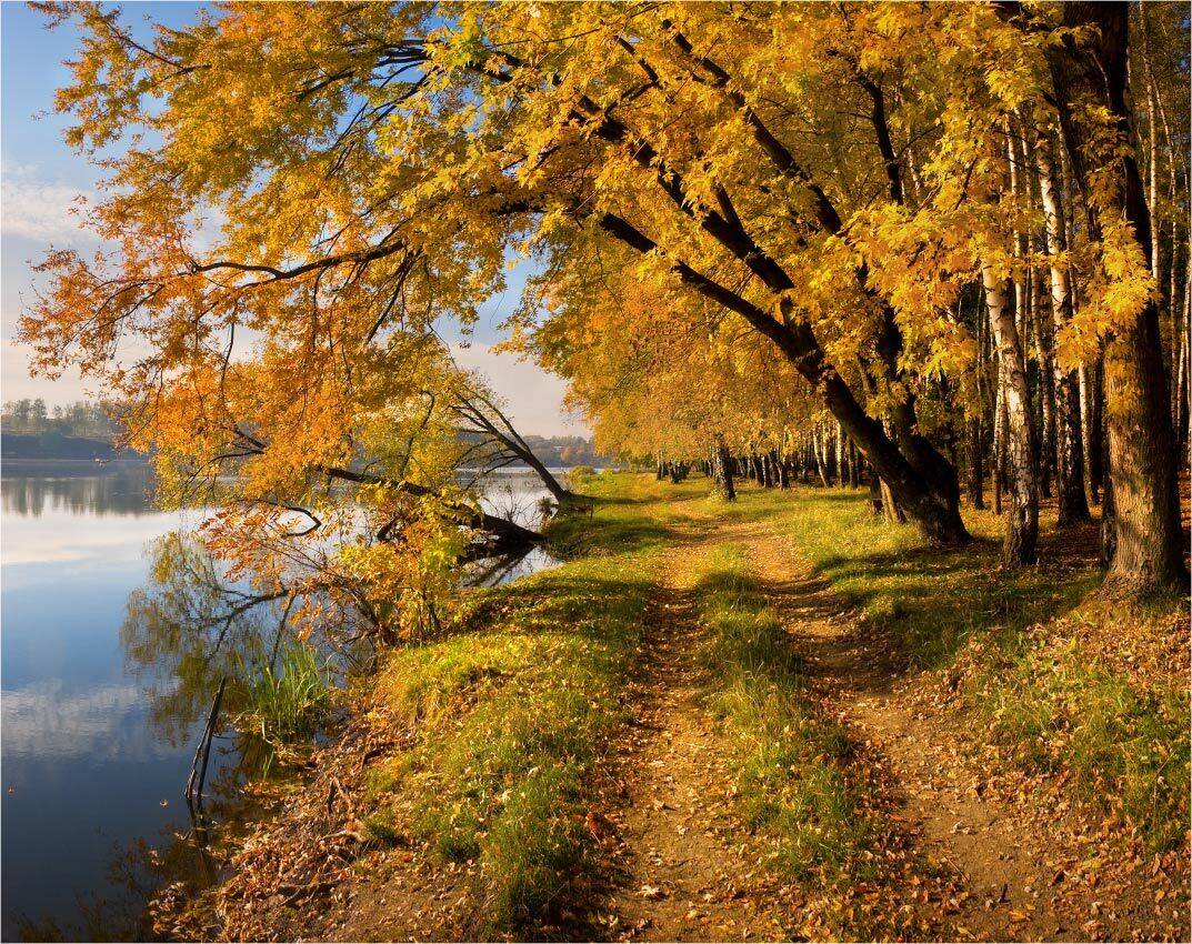 утро, осень, люботин, александр, киценко, Александр Киценко