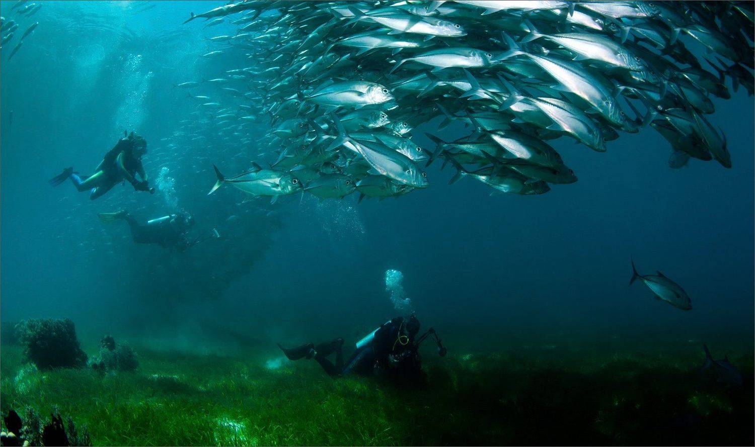 гдетотам, Нетушки