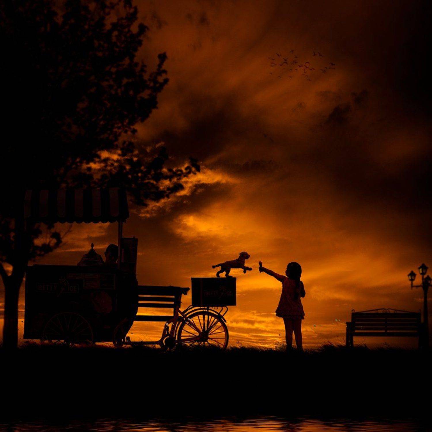 girl, sunset, water, reflection, tree, dog, orange, bench, grass, alone, black, play, jump, dark, pole, burn, ice cream, cream, light pole, Caras Ionut