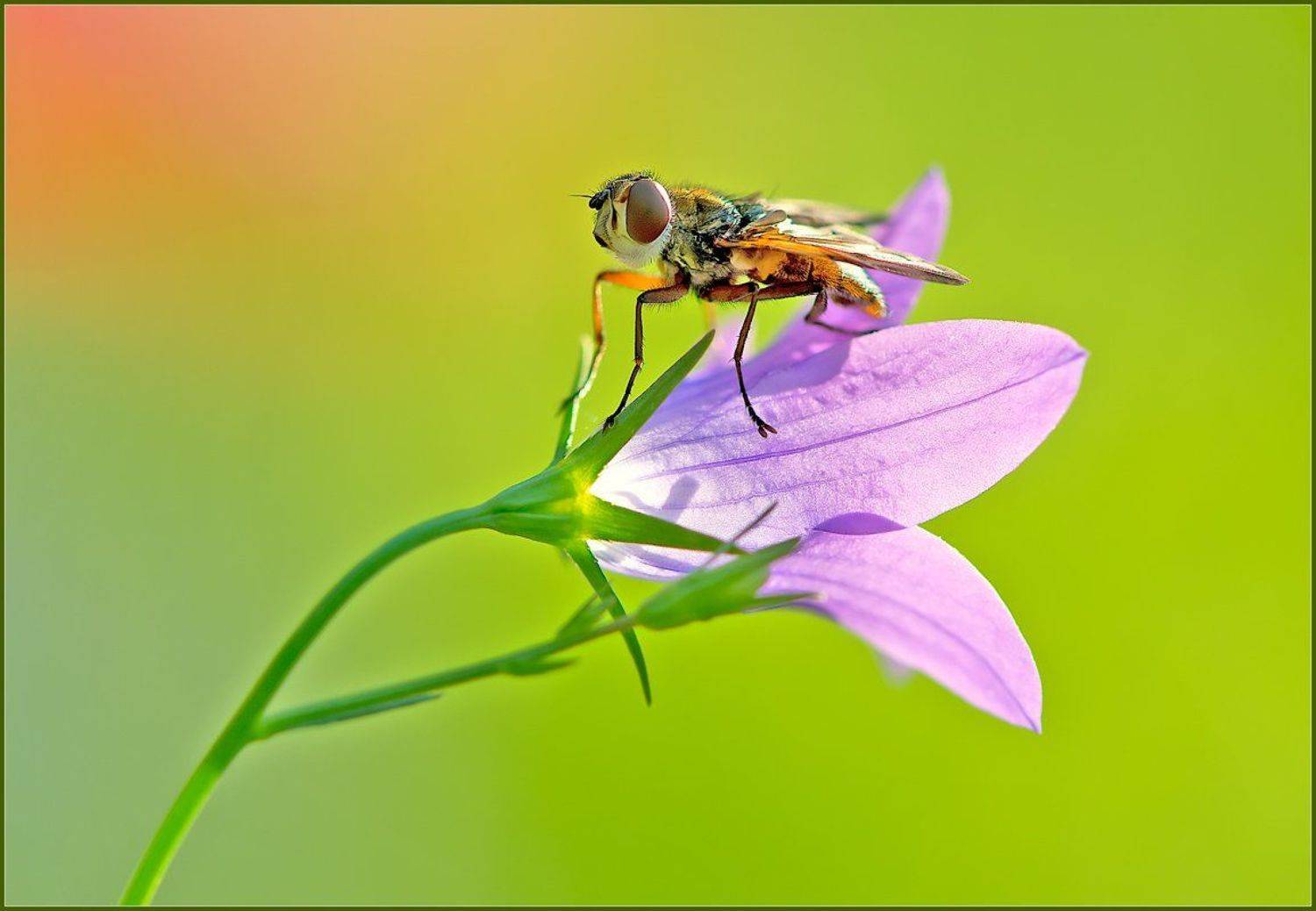 , Евгений Кирилкин.