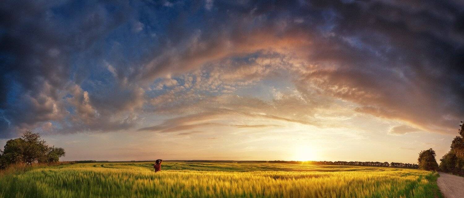 украина, поле, вечер, Вейзе Максим