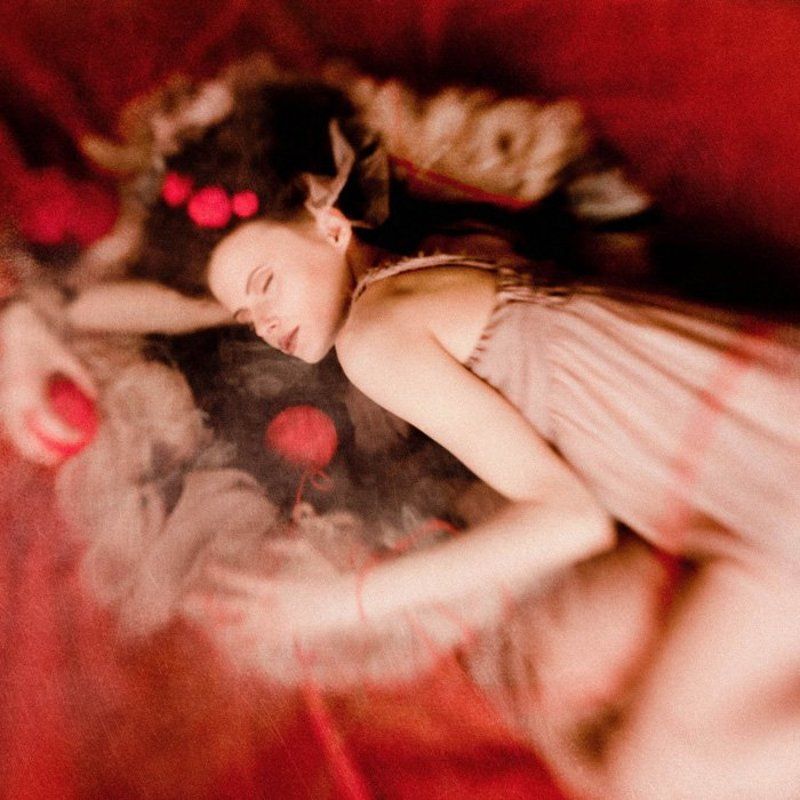 nest фото превью