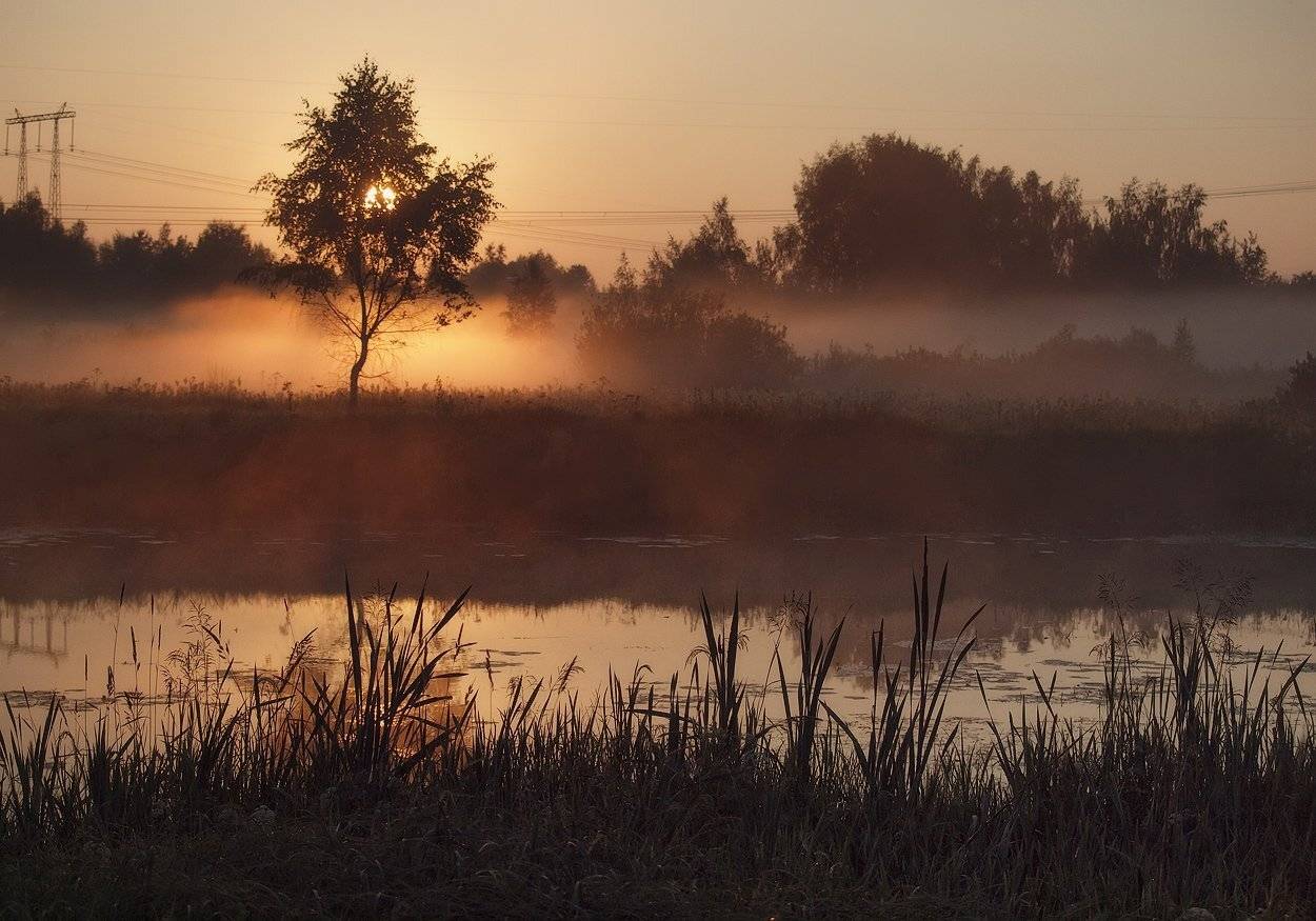 , Владимир Перепечаев