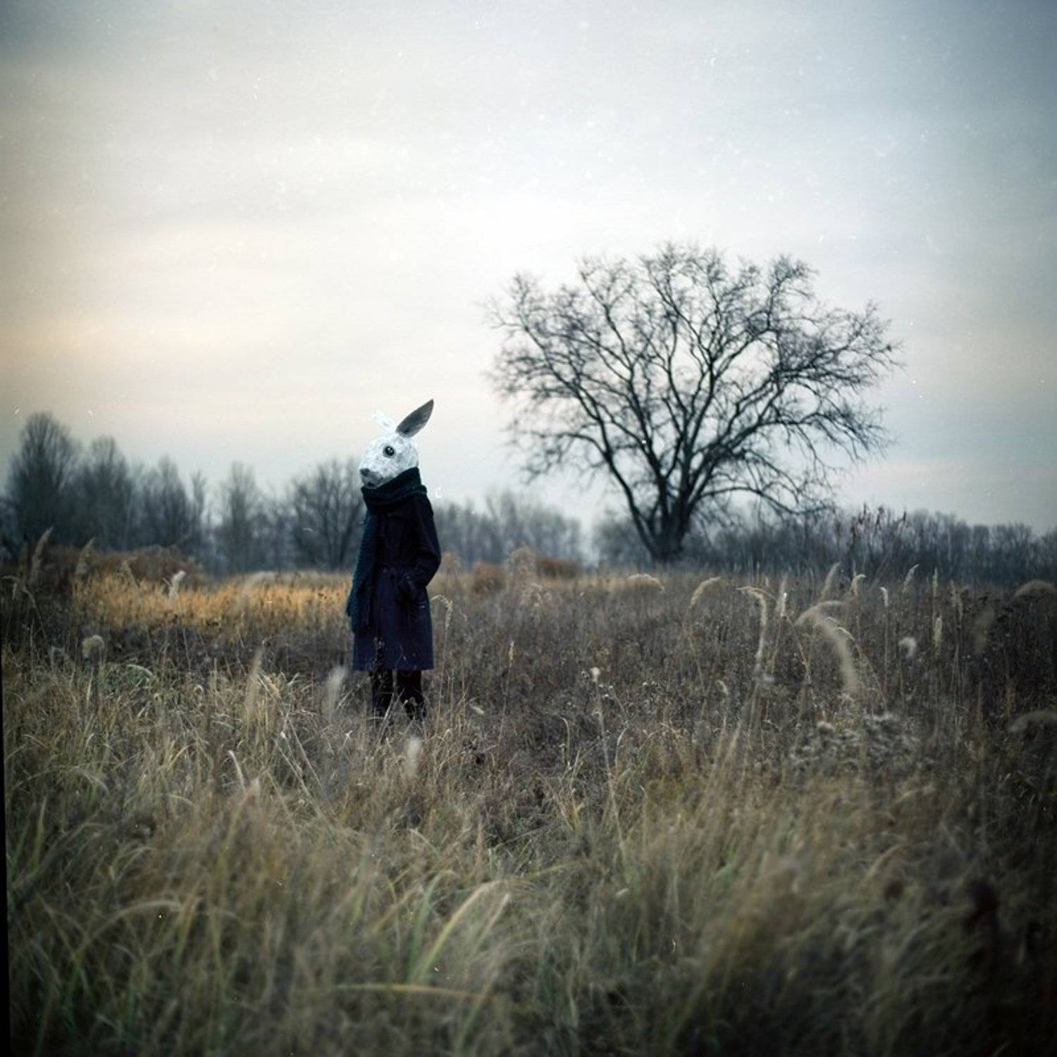 eugene reno, portrait, Eugene Reno