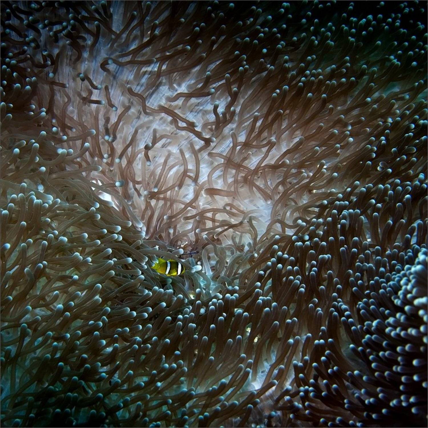 потерялсо, Нетушки