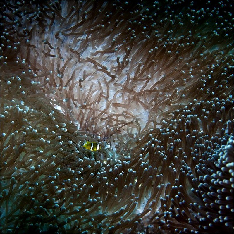 потерялсо Потеряшка фото превью