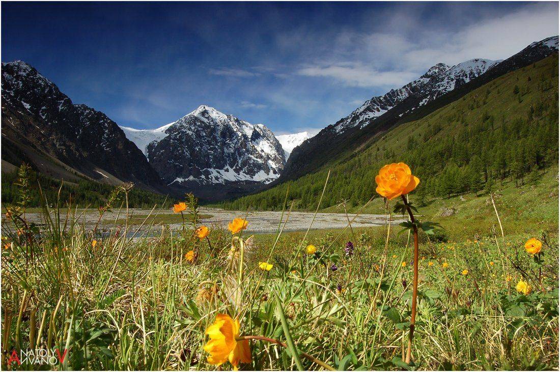 горный алтай, кара-таш, актру, Анатолий Иванов
