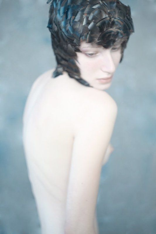 bird фото превью