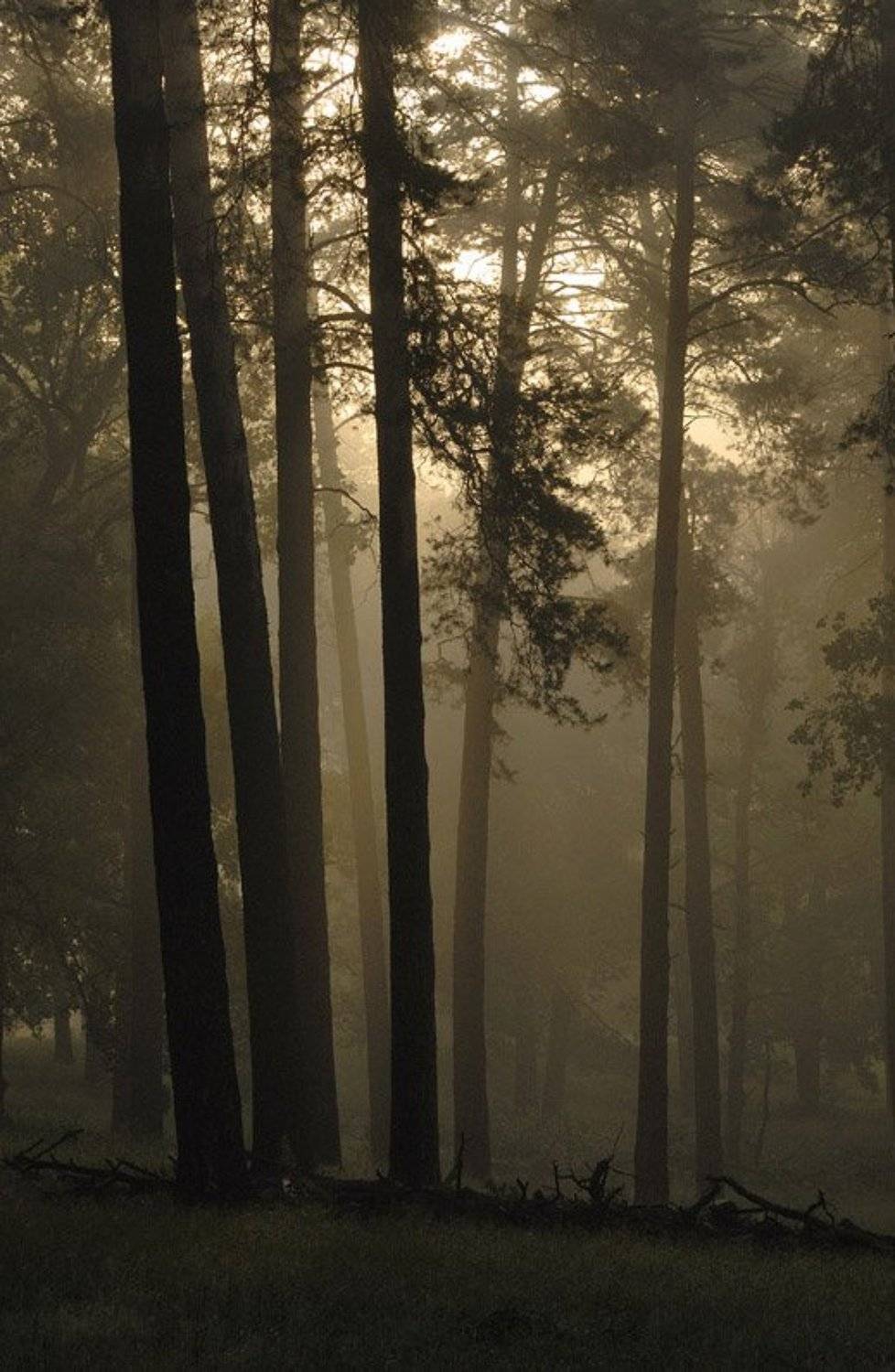 , Александр