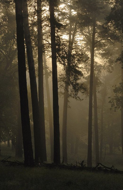 Lamentation фото превью