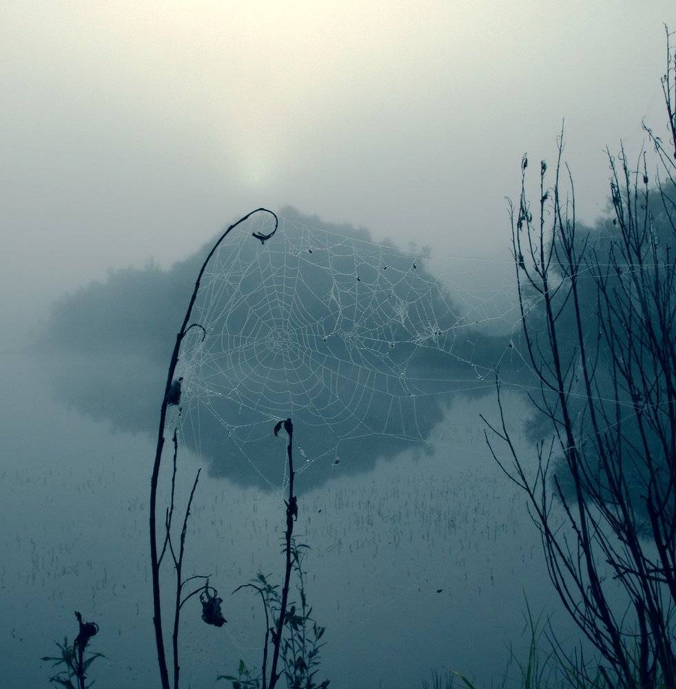 , Николай Морский