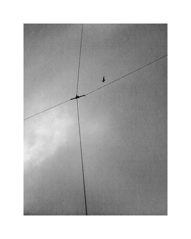 ... фото превью