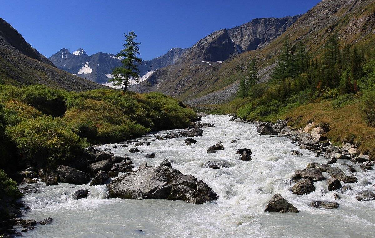 куркуре, алтай, Артем Головин