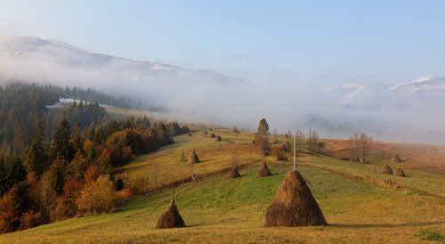 Карпатское утро