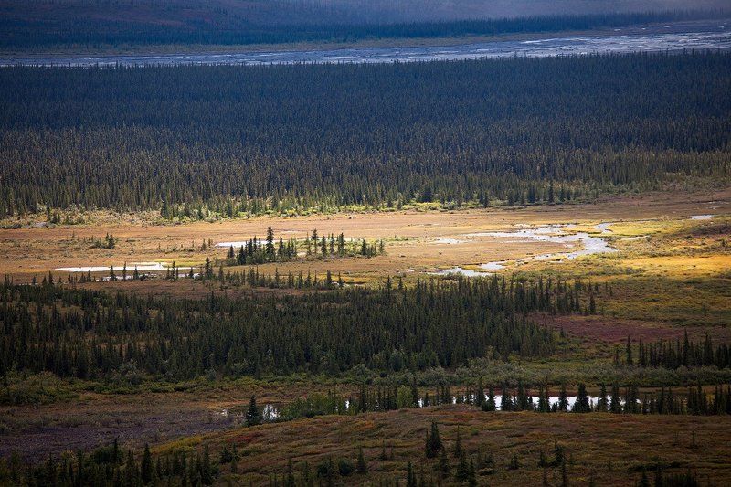 Немного про Denaly Highway... фото превью