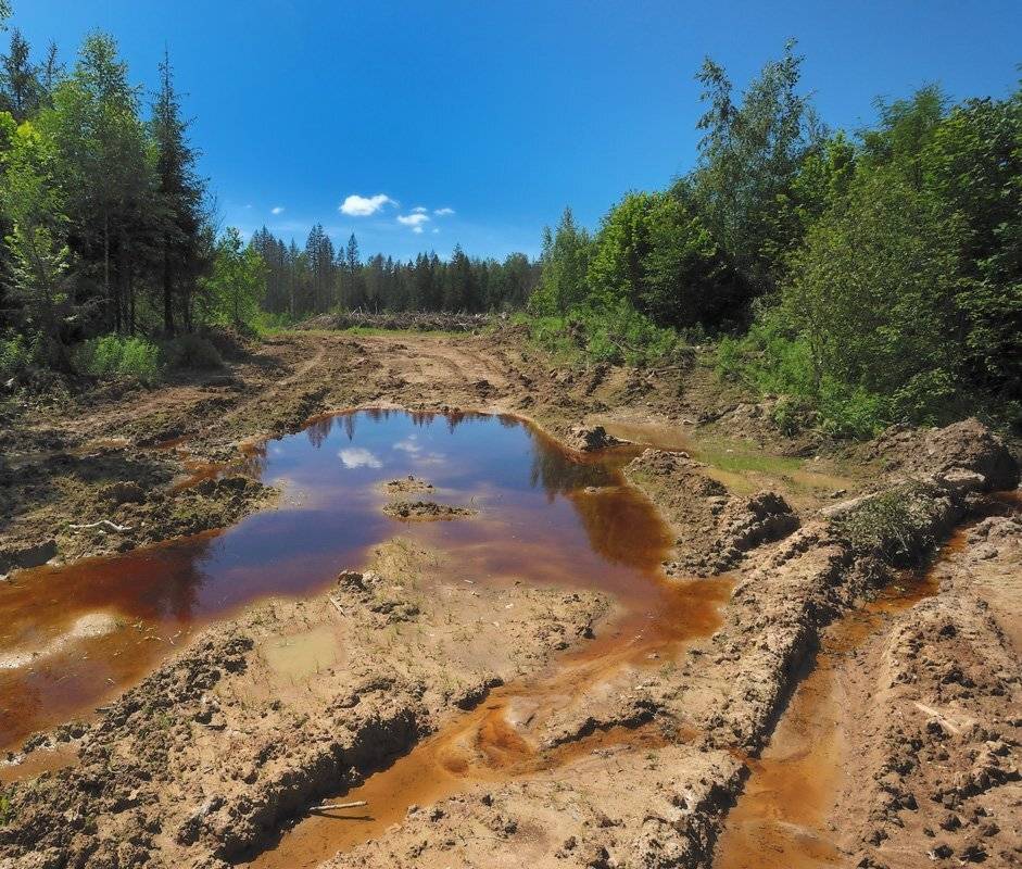 , Сергей Седов