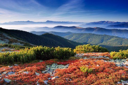 Прощание с осенью