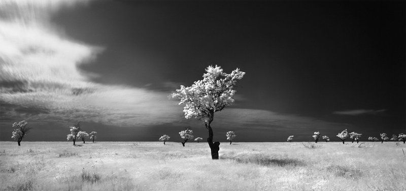 Один в поле воин фото превью