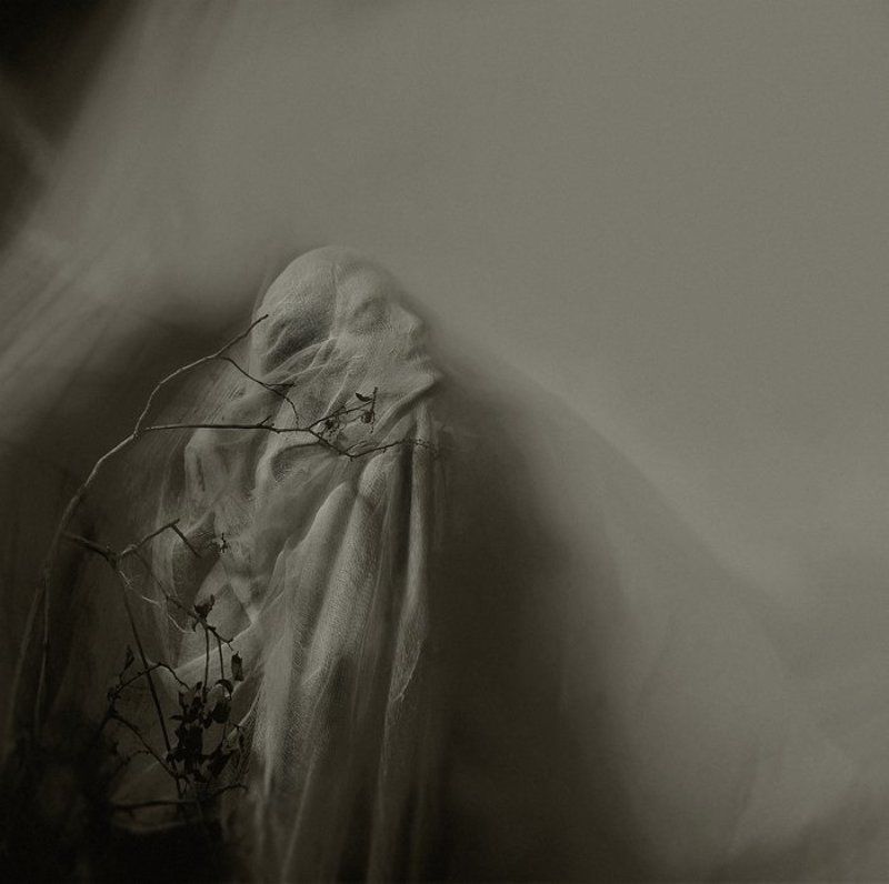 . фото превью