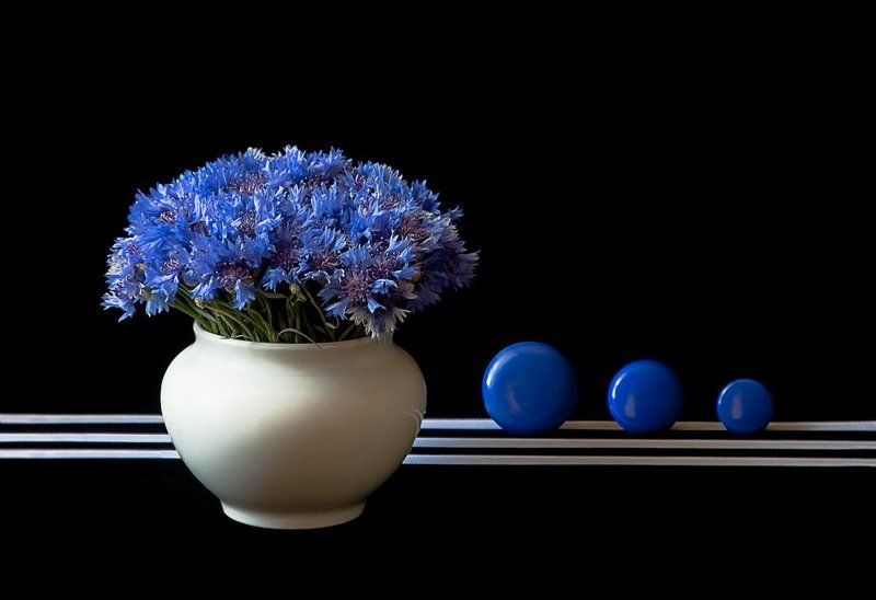 цветы, васильки, ваза, лента Васильковый фото превью