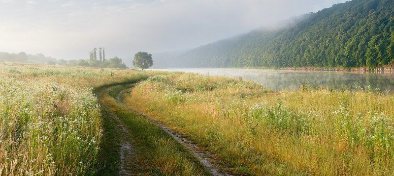 утро, днестр, река, рассвет, дорога, украина Нежное утро фото превью