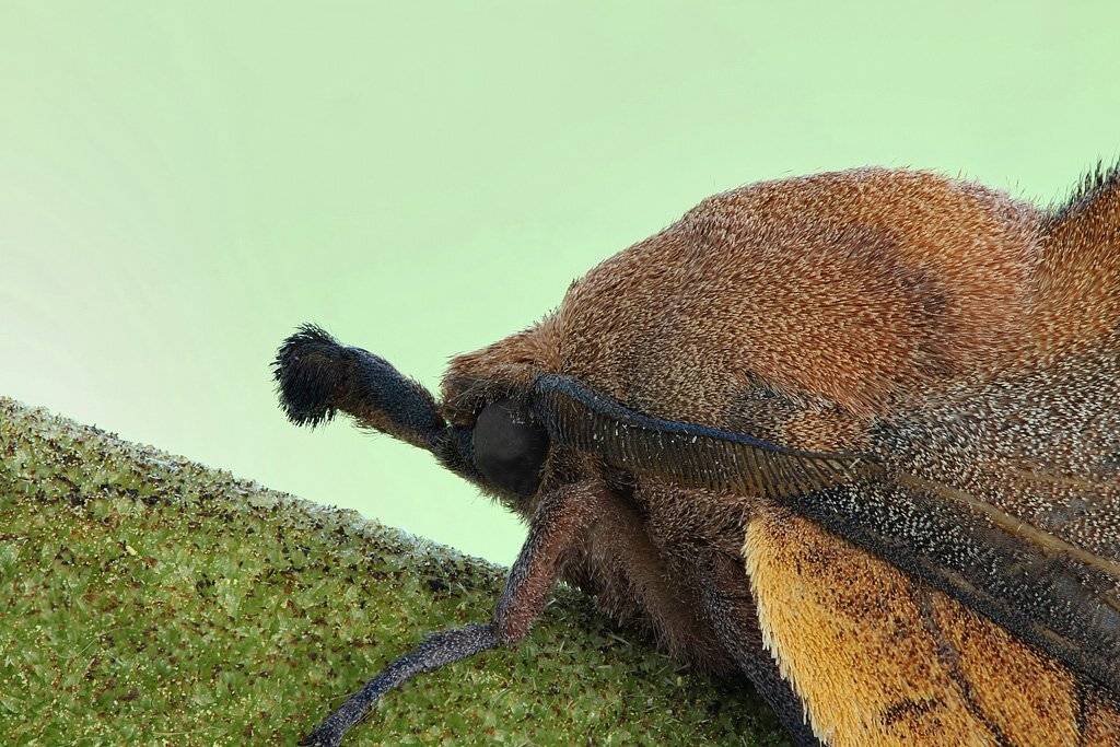 , Сергей Таланов