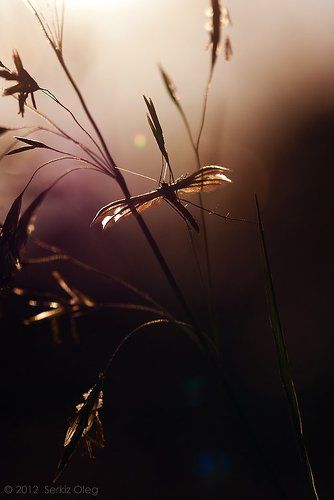Time sunset