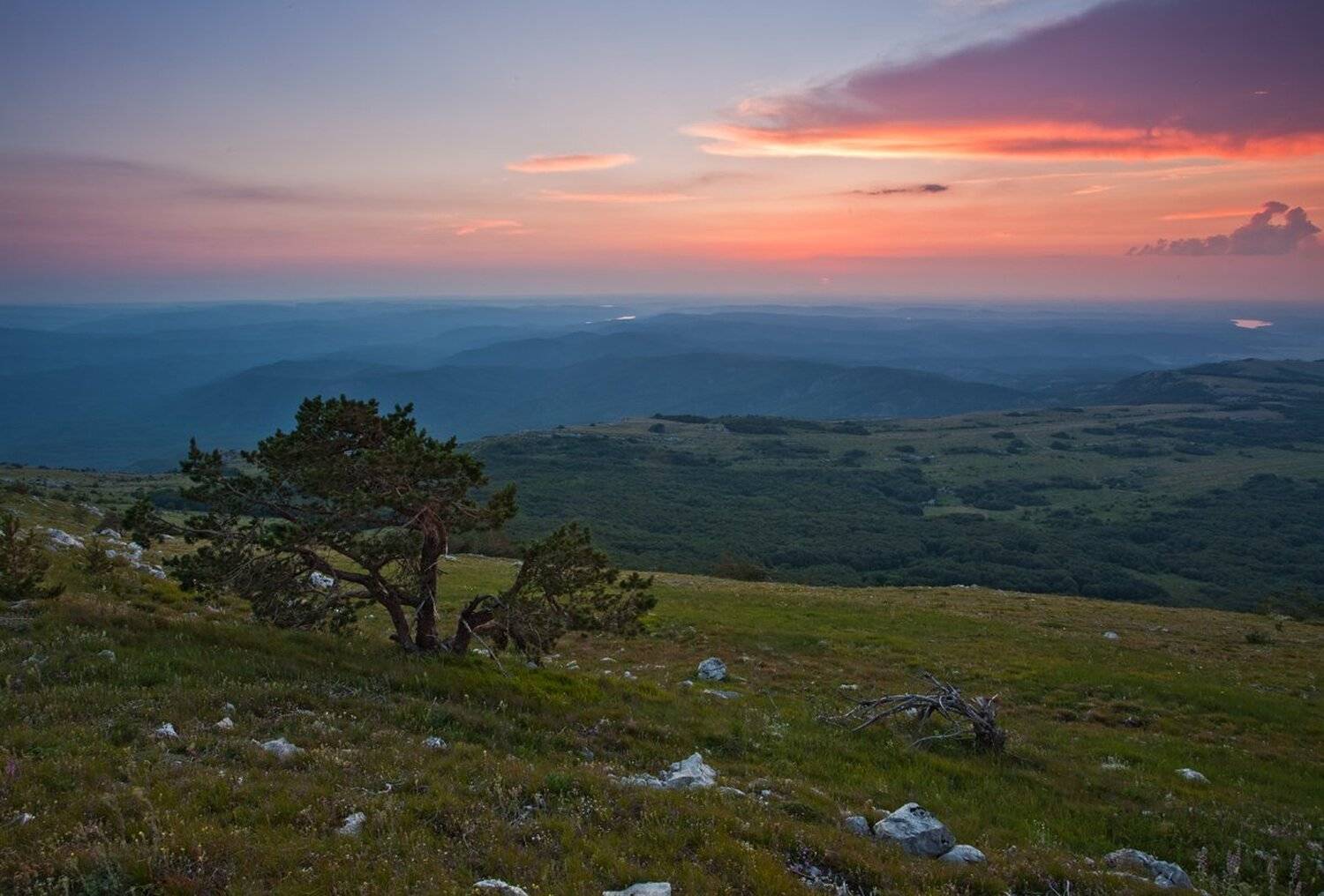 , Станислав Савицкий