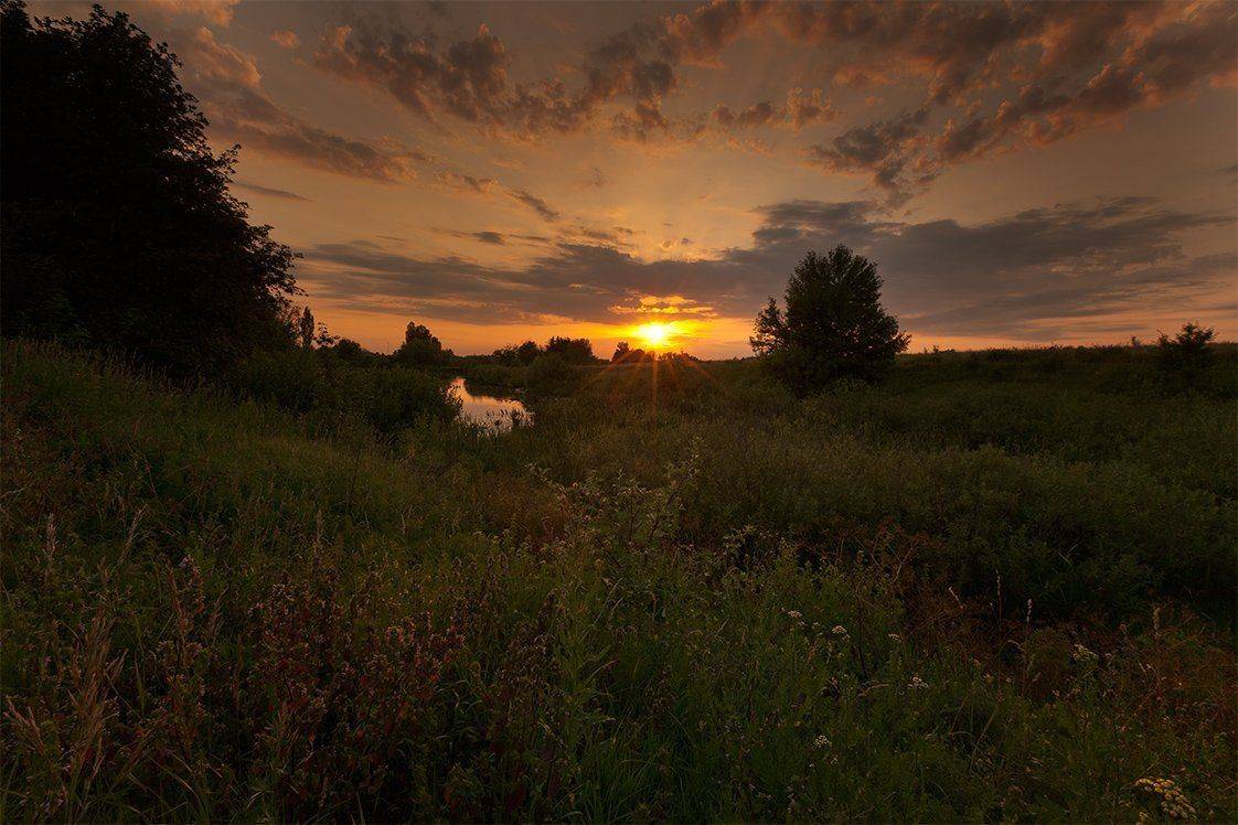 , Петр Антонович