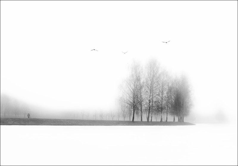 [x] фото превью