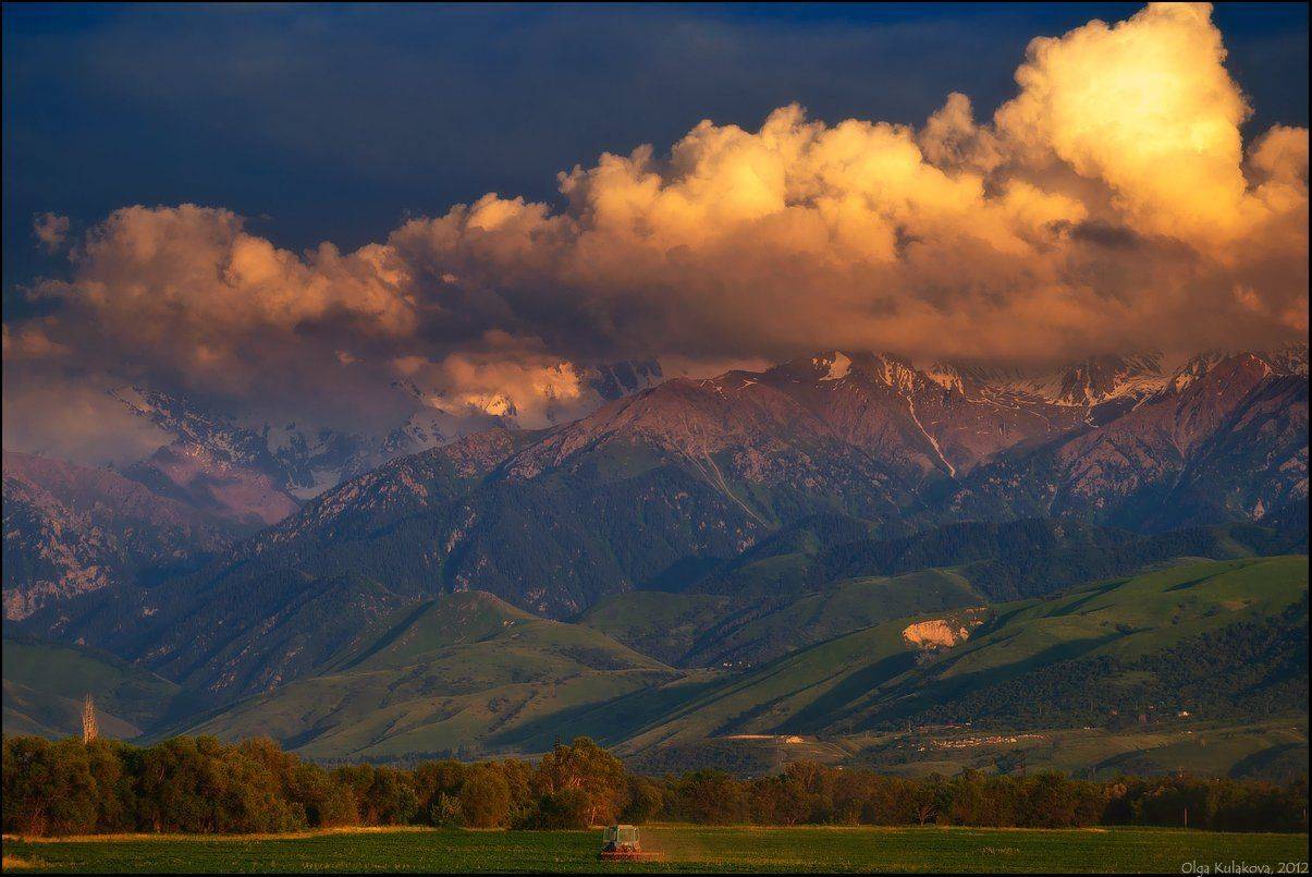 , Ольга Кулакова