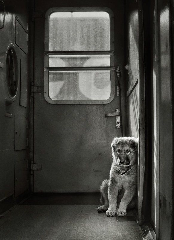 Судьба, или уже есть о чём подумать ... фото превью