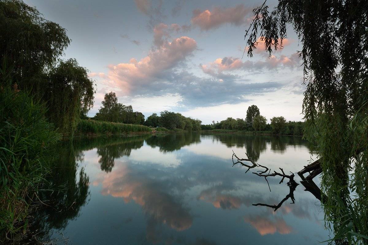 , Петр Антонович