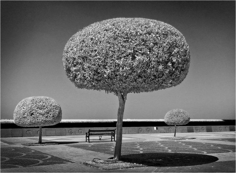 дубай, набережная, b&w [o_O_o] фото превью