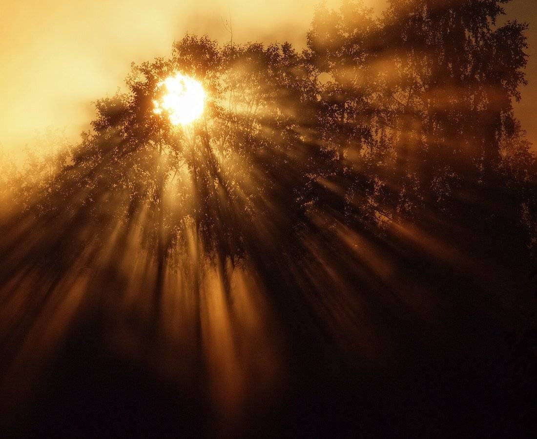 , Владимир Перепечаев