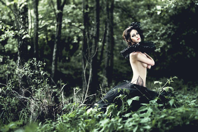 фото превью